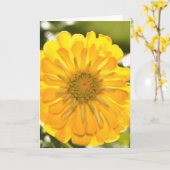 黄フローラ黄花黄デイジー カード (黄色い花)