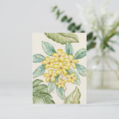 黄プルメリア葉書 ポストカード (スタンド正面)