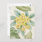 黄プルメリア葉書 ポストカード (正面/裏面)