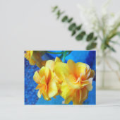 黄ベゴニア ポストカード (スタンド正面)