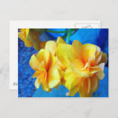 黄ベゴニア ポストカード (正面/裏面)