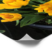 黄ユニークチューリップ ポスター (角)