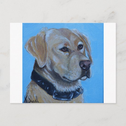 黄ラブラドール絵画ズ ポストカード (正面)