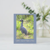 黄冠のナイトヘロン葉書 シーズンポストカード (スタンド正面)