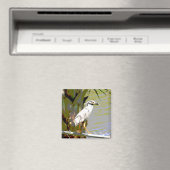 黄冠のナイトヘロン マグネット (インサイチュ (食洗機))