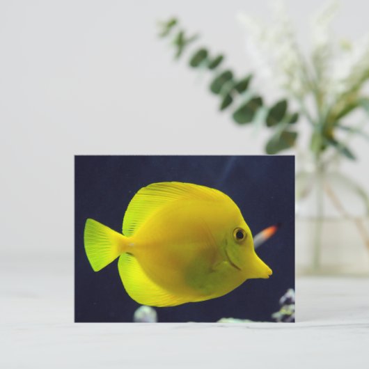 黄唐 ポストカード (スタンド正面)