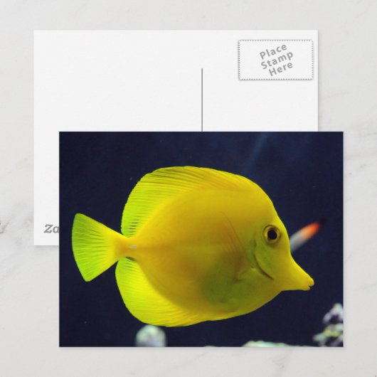 黄唐 ポストカード (正面/裏面)