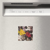 黄唐 マグネット (インサイチュ (食洗機))