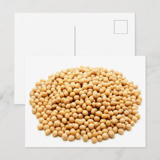黄大豆 ポストカード (正面/裏面)
