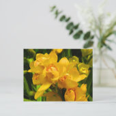 黄実在色の花 ポストカード (スタンド正面)