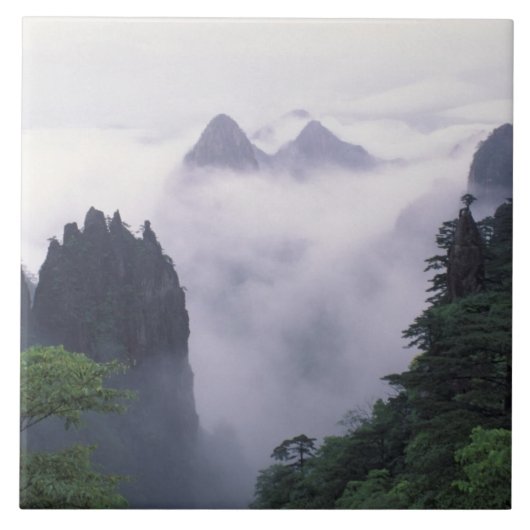 黄山の風景 タイル (正面)