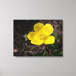 黄庭花 キャンバスプリント