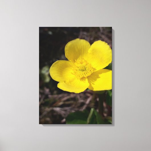 黄庭花 キャンバスプリント (正面)