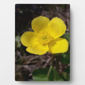 黄庭花 フォトプラーク (正面)