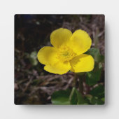 黄庭花 フォトプラーク (正面)