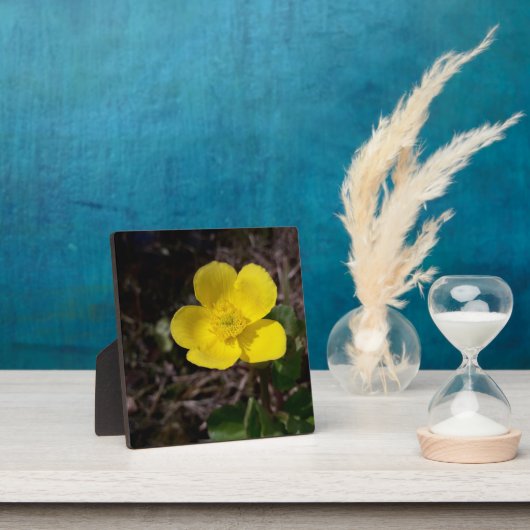 黄庭花 フォトプラーク (インサイチュ)