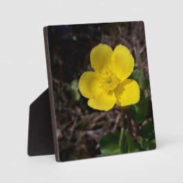 黄庭花 フォトプラーク