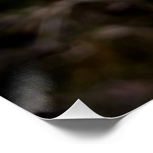 黄庭花 ポスター (コーナー)