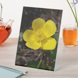 黄庭花 台座サイン