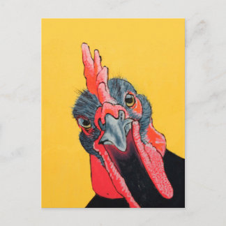 黄怒色の鶏 ポストカード