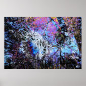 黄斑秋 ポスター (正面)