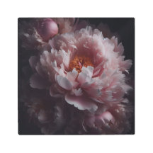 黄昏の魅惑的な牡丹の花びらの踊り