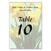 黄水仙のグループ テーブルナンバー (裏面)