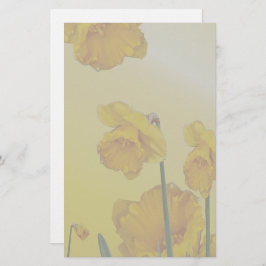 黄水仙 便箋 (正面/裏面)