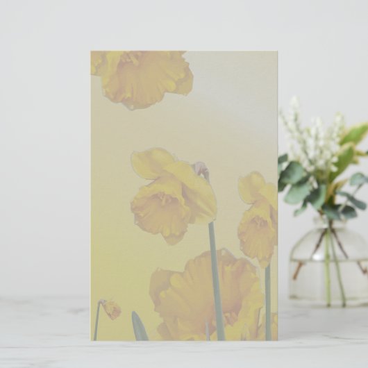 黄水仙 便箋 (スタンド正面)