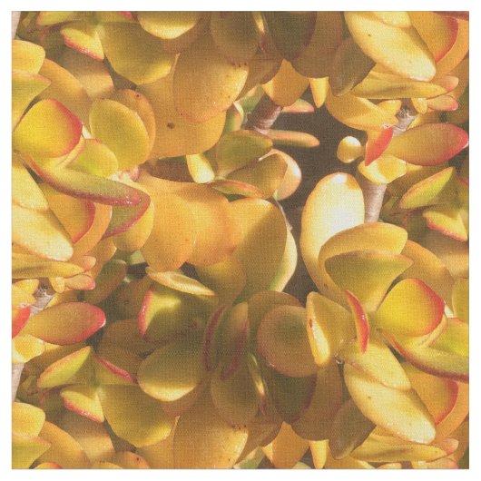 黄氷植物 ファブリック (クローズアップ)