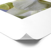 黄淡い色のガ蘭フローラ ポスター (角)