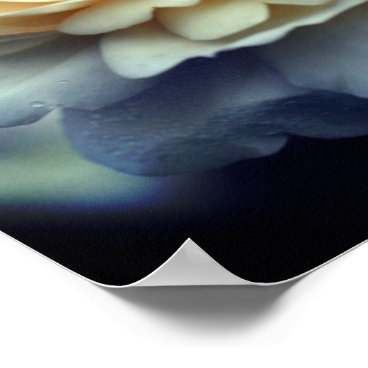 黄淡い色のローズイン開花鏡抽象芸術 ポスター (角)