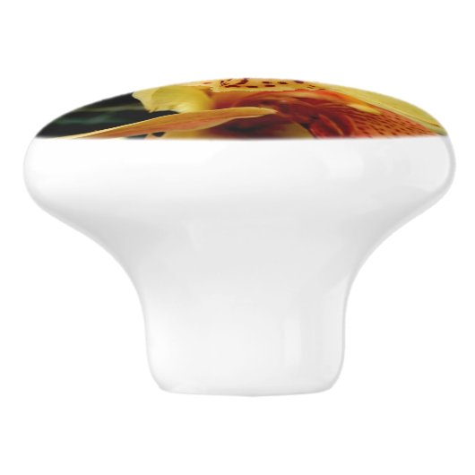 黄淡い色の紫斑蘭セラミックノブ セラミックノブ (側面)