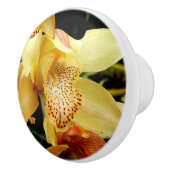 黄淡い色の紫斑蘭セラミックノブ セラミックノブ (右)