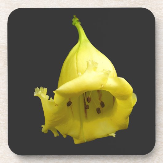 黄熱帯花 コースター (正面)