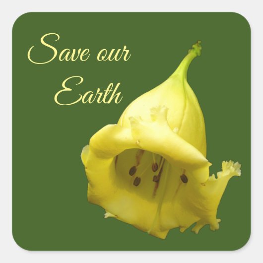 黄熱帯花 スクエアシール (正面)