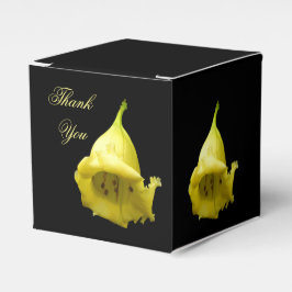 黄熱帯花 フェイバーボックス