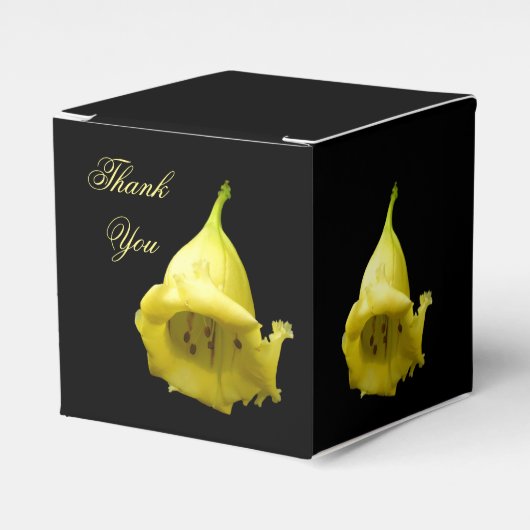 黄熱帯花 フェイバーボックス (正面サイド)