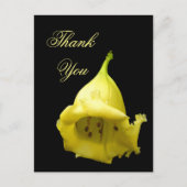 黄熱帯花 ポストカード (正面)