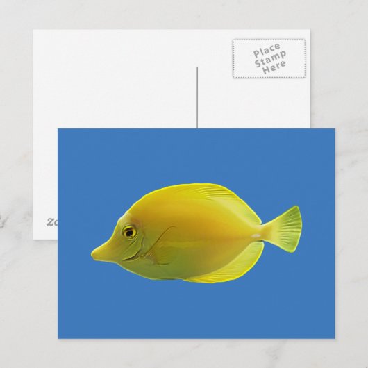 黄熱帯魚 ポストカード (正面/裏面)