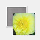 黄牡丹 マグネット (正面/裏面)