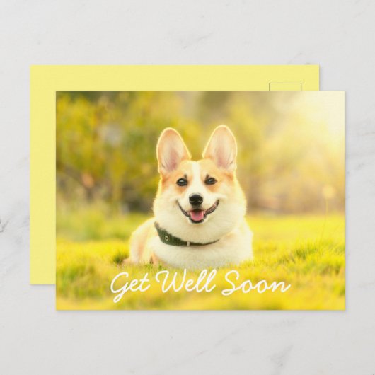 黄犬と勇気付けられるが元気 ポストカード (正面/裏面)