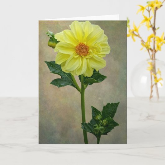 黄独身の花札 カード (黄色い花)