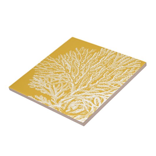 黄珊瑚 タイル (側面)