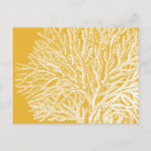 黄珊瑚 ポストカード (正面)