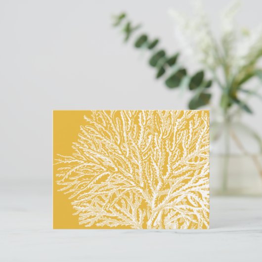黄珊瑚 ポストカード (スタンド正面)