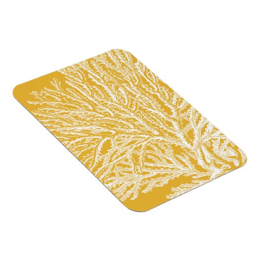 黄珊瑚 マグネット (右側)