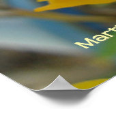 黄球花 ポスター (角)