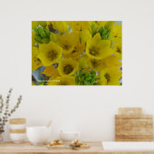 黄球花 ポスター (キッチン)