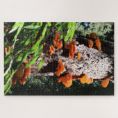 黄硫黄棚キノコ菌糸体 ジグソーパズル (横)